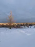 Snowmobilers Getaway - ATVer's Paradise - 샬레 호텔
