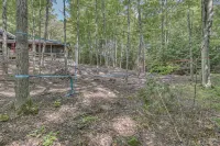 Hand Hewn Log Cabin Newly Renovated, rustic-modern design