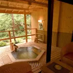 Hotel Kameya Honten - Hot Springs