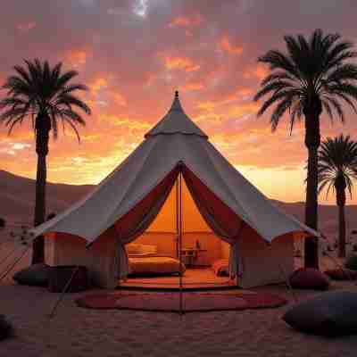 Luxury  Saf Saf Camp Others