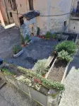 Il Gatto e la Volpe Foresteria Lombarda