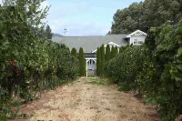 Family Friendly Home in Vineyard Next to Award Winning "Cathedral Ridge Winery - 3-Star