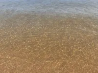 COZY,Newly renovated,West Shores ,short walk to Nasons Beach 🏖🏠 Hotels in Sebago