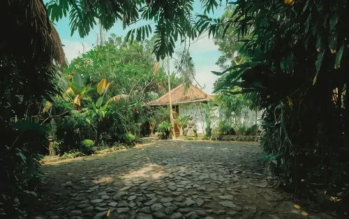 Villa Bougenville - balcony