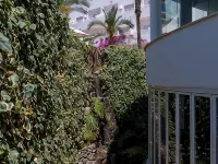 Apartamentos Mexico Hotels in Vera