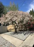 Spacious 5Br/ 3ba Home with 8Bed - Near Airport, Downtown & Train Station Hotels in Rainier Valley