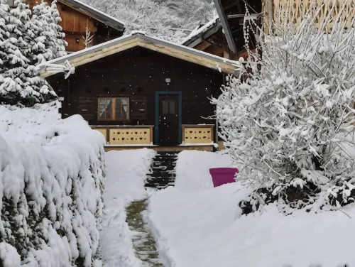 Petit chalet bois esprit montagne 2à 3 personnes - Homestays