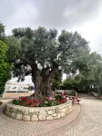 Amnisiades Apartments - Wifi