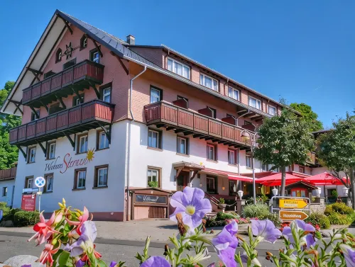 Wochner's Hotel-Sternen am Schluchsee Hochschwarzwald