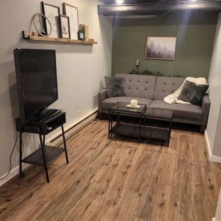 Cozy Basement Apartment (With Private Entrance)