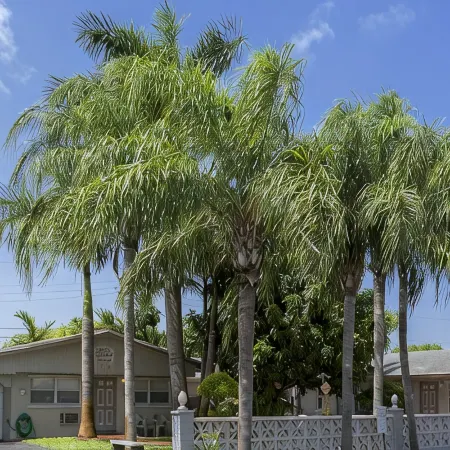 Richard's Motel Extended Stay