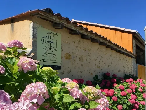 Domaine de Ludeye, Chambres d'hôtes - Médoc - Strand