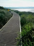 Beautiful Beach-side cottage with lap pool in North Maroubra close to Coogee - Landsted