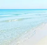 Luxurious Large Studio overlooking 30A nestled b/w Rosemary and Alys Beach - Beach
