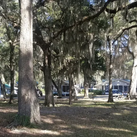 Best Lake View Cottage #21 at Salt Springs Resort