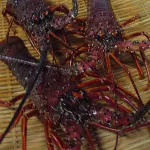 Ike Ise Ebi Restaurant Inn Nisshokan - 2-Star