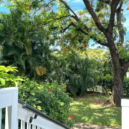 Tropical, Bright Princeville Studio with Mountain Views