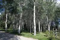 The Aspen Cabin - Wifi