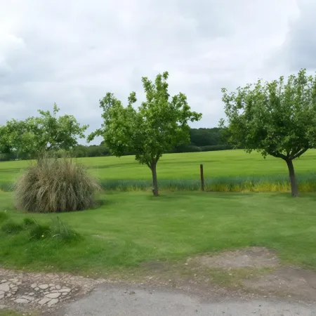 Woodview B&B Colchester