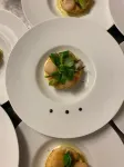 Auberge des Pins Hotel di Fayence
