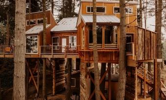 Treehouse over the Water - Eagle's Nest