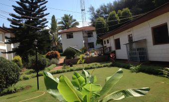 a lush green lawn with a variety of plants , including a large green plant in the foreground at Keys Hotel