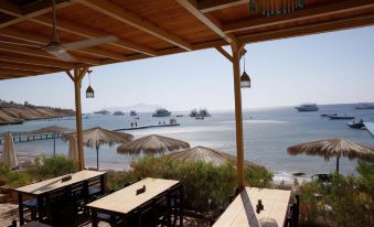 Umbi Sharks Bay Diving Village
