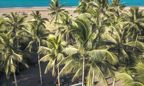SomeWhere Else Boutique Resort