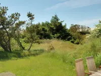 "Tofi" - 400m from the Sea
