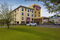 Comfort Suites Golden Isles Gateway Hotels near CBD American Shaman of the Golden Isles