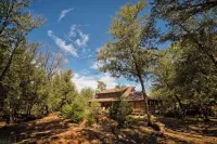 Serenity in the Woods - Beautiful Log Cabin on 2 acres with AC & WiFi & Xbox Hotels near Lone Pine