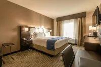 Holiday Inn Austin Airport Hotels in Austin