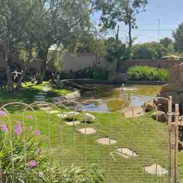 Royal Olympia Lodges & Safaris RSA Hotel Exterior