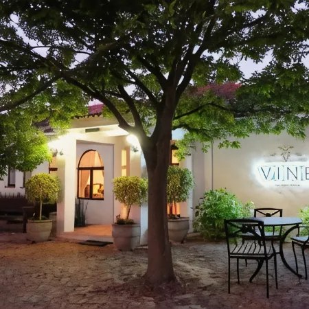 Vine Guesthouse