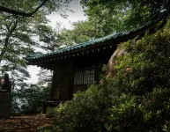Nozaru Onsen Hostel Hotel di 