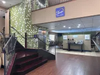 Sleep Inn & Suites Near Columbus - State University Area