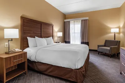 Comfort Inn & Suites at Stone Mountain Hotels in Stone Mountain