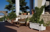 Ela Mesa Hotels in Agia Marina