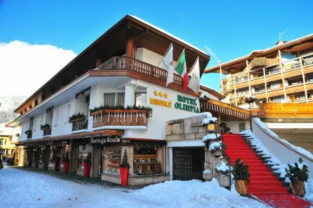 Hotel Olimpia Отели в г. Борка-ди-Кадоре