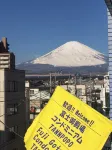 富士御殿場蒲公英公寓 - 山景