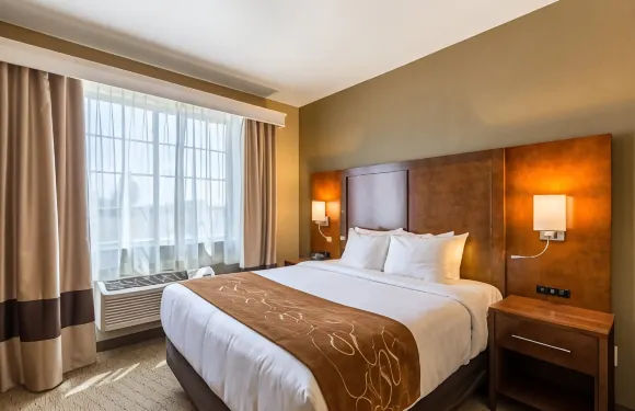 伯靈頓舒適套房酒店