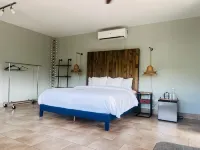 Numero Uno Piñones
