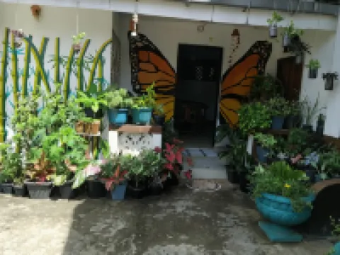 20 House Arugam Hotels in Ampara
