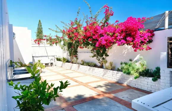 帕特諾斯特旅館