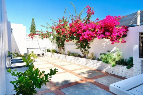 Paternoster Place فنادق في St Helena Bay