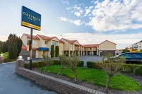 Daffodil Motel Hotels in 