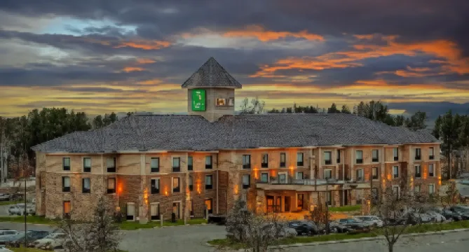 Quality Inn & Suites