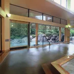 Hotel Sun Valley Izu-Nagaoka Annex - Yüzme Havuzu