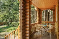 Istra Holidej Hotel Hotels in Solnechnogorsky District