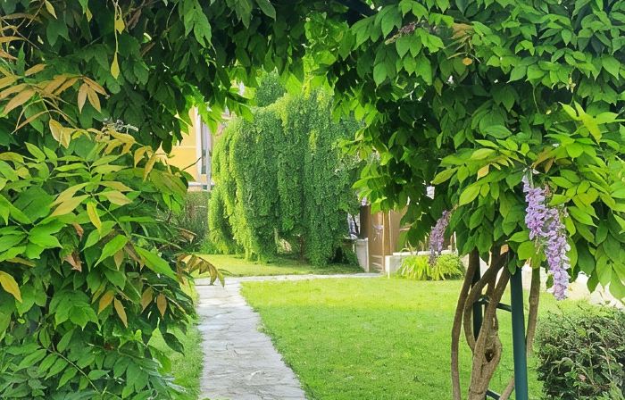 Locazione Glicine with 3 rooms for 4 guests with private parking and garden.